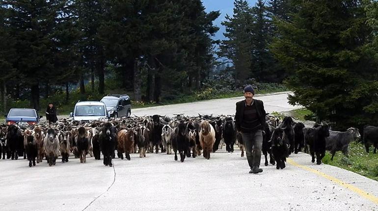 25 yıllık öğretmenin hayatı değişti Sosyal medyada paylaştı ünlü oldu