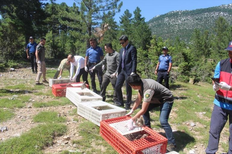Can alan kabusla mücadele ediyorlar 800 tanesi doğaya salındı