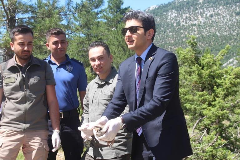Can alan kabusla mücadele ediyorlar 800 tanesi doğaya salındı