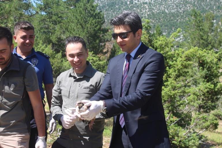 Can alan kabusla mücadele ediyorlar 800 tanesi doğaya salındı