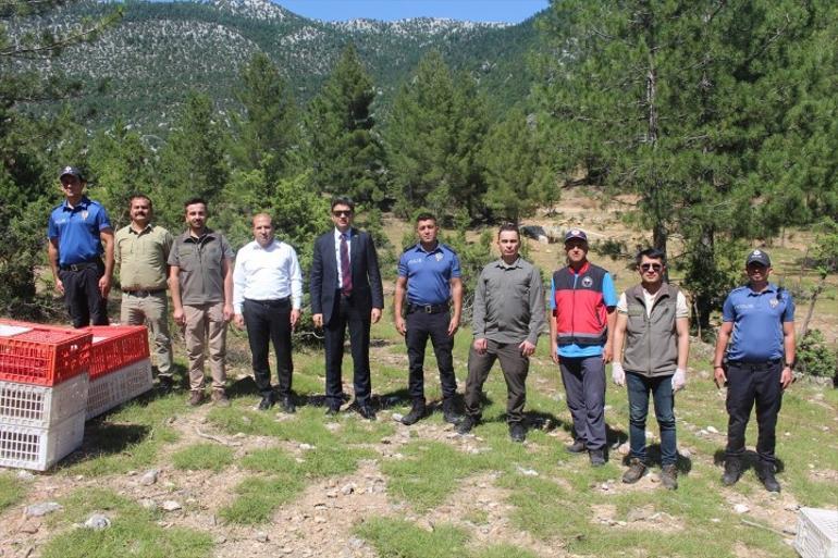 Can alan kabusla mücadele ediyorlar 800 tanesi doğaya salındı