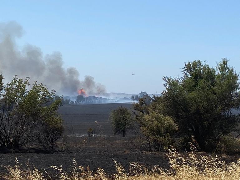 Sakarya, Çanakkale, Uşak ve Hatayda alevlerle mücadele