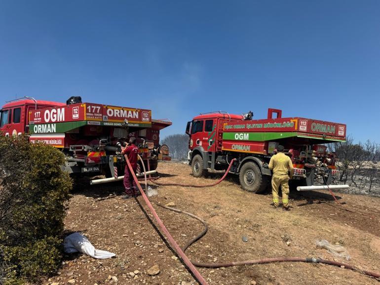 Sakarya, Çanakkale, Uşak ve Hatayda alevlerle mücadele