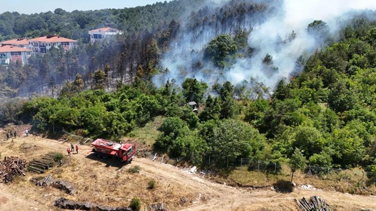 Sakarya, Çanakkale, Uşak ve Hatayda alevlerle mücadele