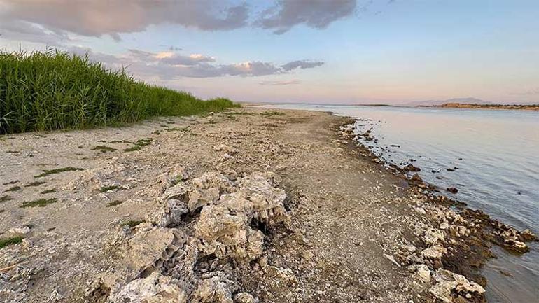 Van Gölünde sular çekildi... Mikrobiyalit ve adacıklar ortaya çıktı