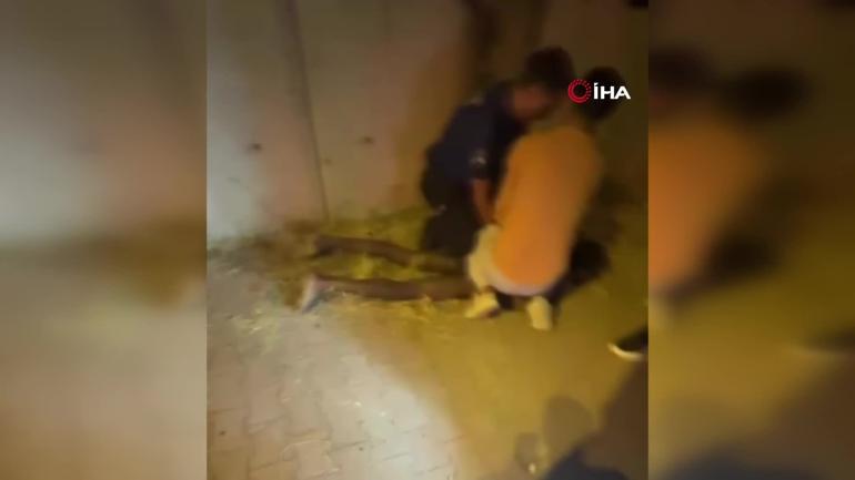İstanbulda sokakta çıplak gezen Afrikalıya vatandaşlardan tekme tokat dayak