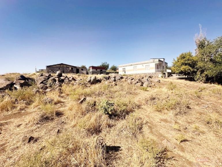 Narin Güran davasında yeni gelişme Diyarbakır Barosu’ndan Nevzat Bahtiyar başvurusu