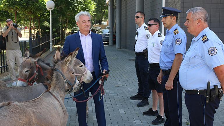 Kosova Meclisinde eşeklerle protesto: Başbakan kırk birinci defa seçilemedi
