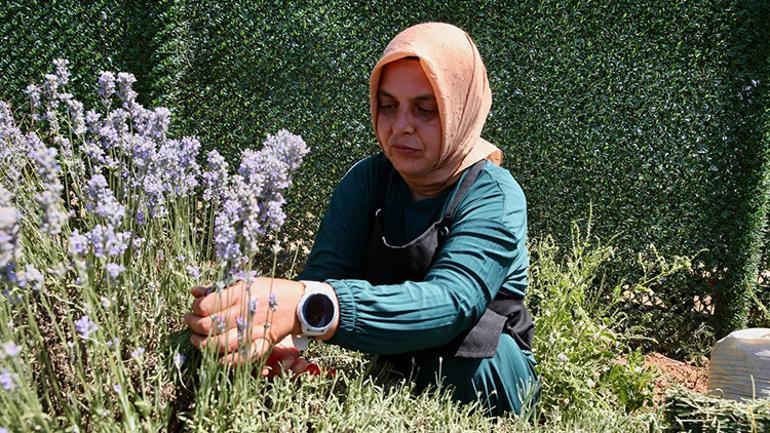 Hayalindeki bahçe öğrenci ve kadınlara gelir kapısı oldu