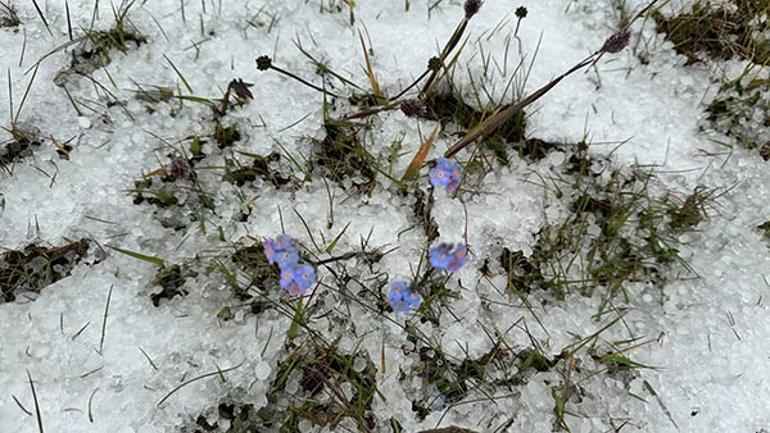 Üç ilimize lapa lapa kar yağdı Temmuz ayında kar sürprizi