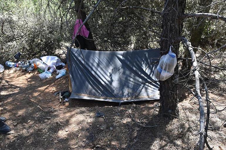 29 yıllık cezadan böyle kaçtı Duyan yok artık dedi... Hayvan postu giydi, ayı kapanı kurdu...
