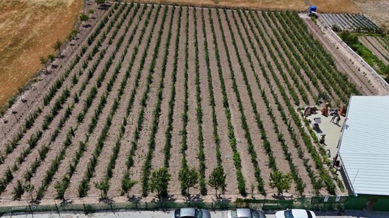 5 yıl önce kurdu şimdi talebe yetişemiyor Vatandaş eli boş dönüyor