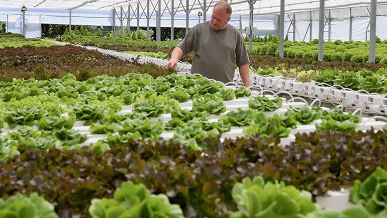 Ne tarlası var ne traktörü Ayda 10 ton üretim yapıyor, aynı gün sofrada...