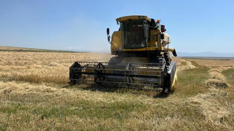 Yapma-etme diyenleri dinlemedi, topraktan bereket fışkırdı