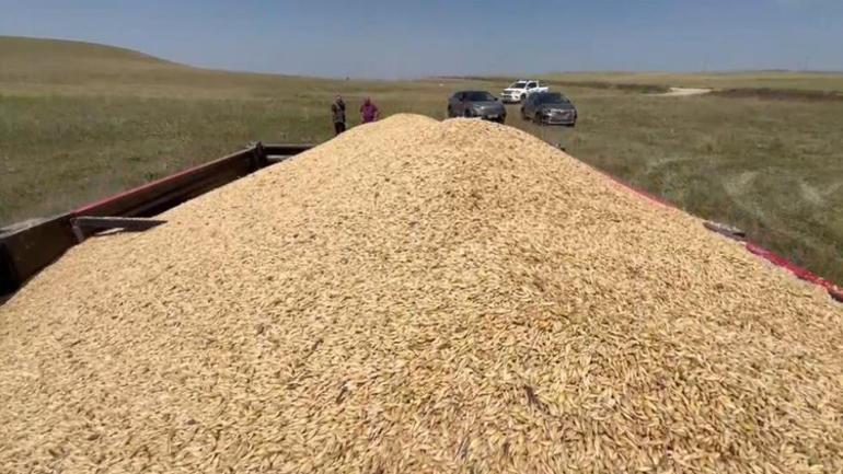 Yapma-etme diyenleri dinlemedi, topraktan bereket fışkırdı