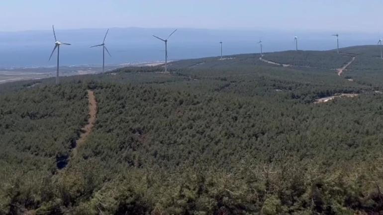 Tekirdağ Şarköyde orman yangını 2 gün sürmüştü İşte yürek burkan görüntü