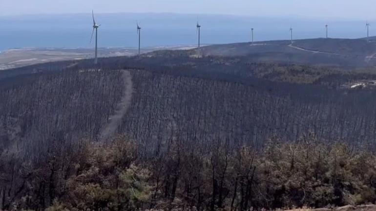 Tekirdağ Şarköyde orman yangını 2 gün sürmüştü İşte yürek burkan görüntü
