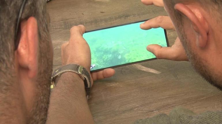 Marmara Denizi’nde bir ilk yaşandı Canlı bir şekilde ilk defa görüntülendi