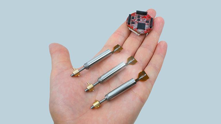 HÜRKUŞtan KAANa Türk imzası Atom karıncalar gün yüzüne çıkıyor