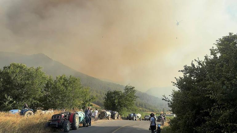 Sakaryada orman yangını