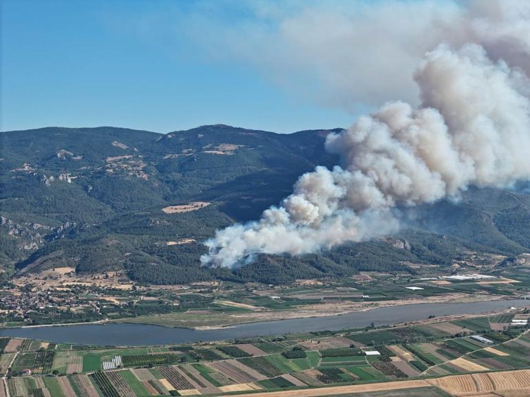 Sakaryada orman yangını
