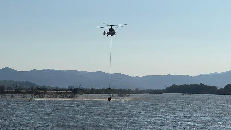 Sakaryada orman yangını