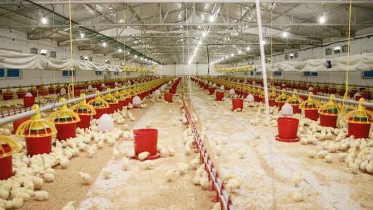 Candarlı’nın cesur kadınları destek bekliyor