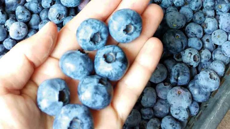 Candarlı’nın cesur kadınları destek bekliyor