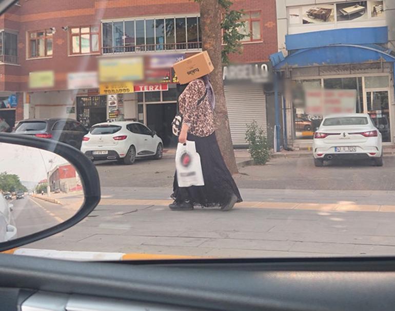 Bir ilimizde sıcaklık 40 dereceyi aştı Sıcaktan korunmak için bu yöntemi tercih etti | Görenler hayrete düştü