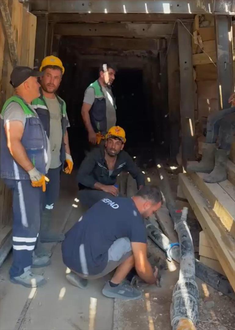 Bursadaki orman yangınında kaçıp 7 yavrusuyla maden ocağına sığınmış