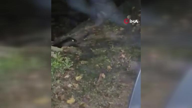 Bursalı Vatandaş Şaşkik Içinde Görde Göreveüre: Yaradana Kurban olaym