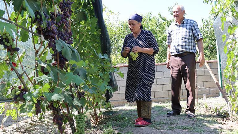 Döşek arasında Ukraynadan getirdiler, yiyenler dua ediyor Cumhurbaşkanı Erdoğana minnettarız