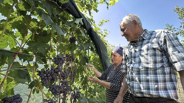 Döşek arasında Ukraynadan getirdiler, yiyenler dua ediyor Cumhurbaşkanı Erdoğana minnettarız