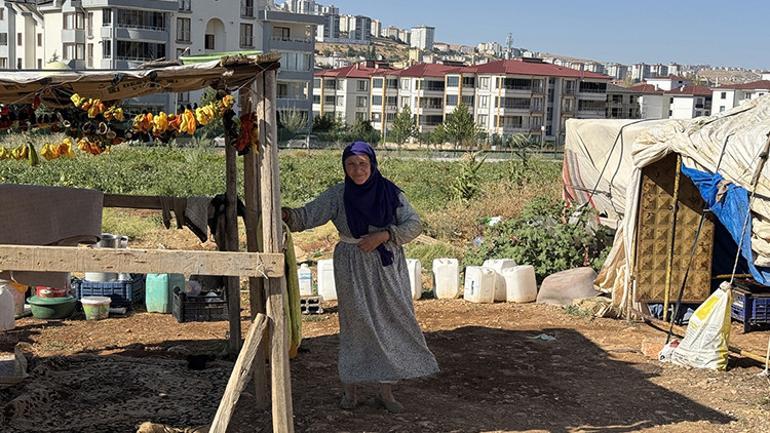 Göç ettiler, çadır kurdular, üretime başladılar Tarladan Türkiye’ye
