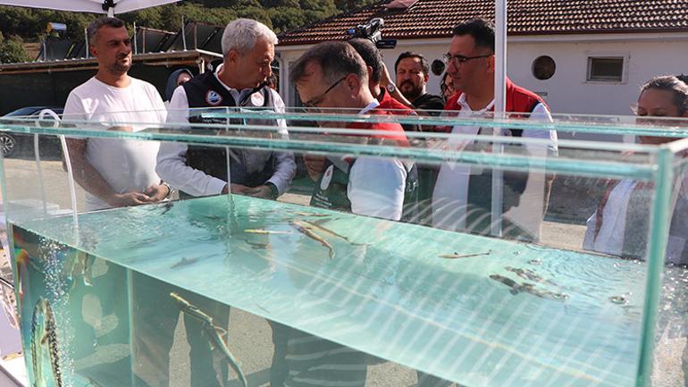 Gramı 1 Euro, kilosu bin Euro Türkiye, dünyaya satacak