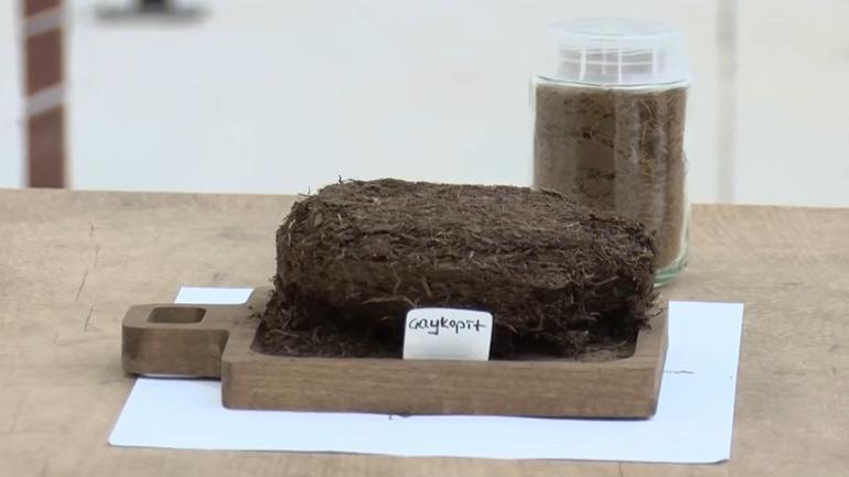 Çay atıklarından mucize ürün ÇAYKURdan Çaykopit sürprizi