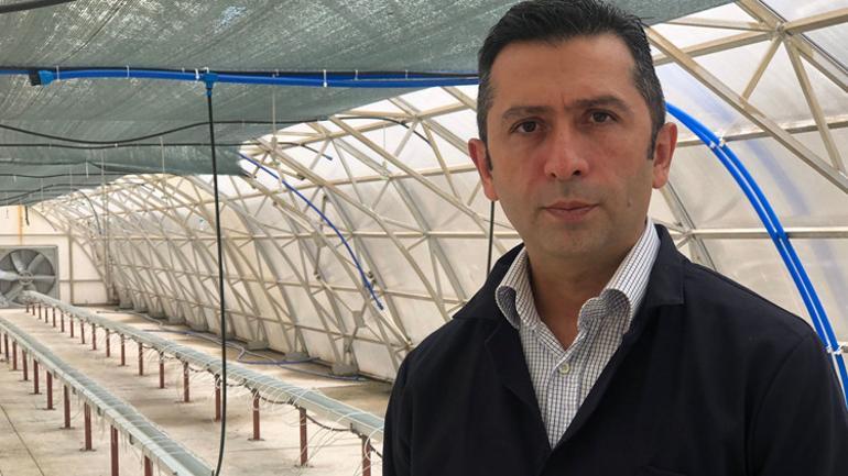 Çay atıklarından mucize ürün ÇAYKURdan Çaykopit sürprizi