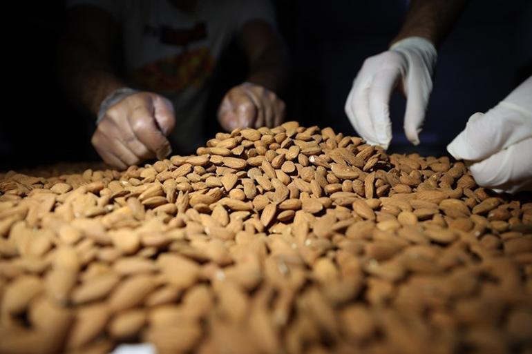 Mardin badem şekeri Togga ilham oldu