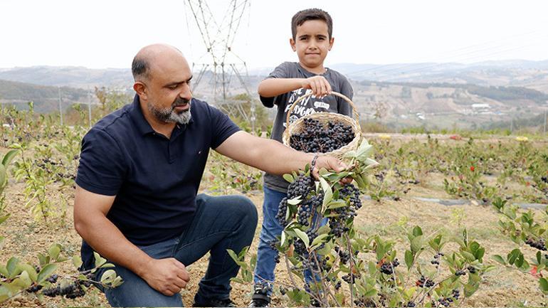 Hastalığına şifa aradı, hayatının işini buldu Daha dalındayken sattı