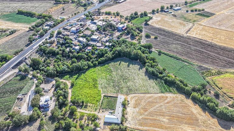 Kanserden kaybettiği eşi için bulamadı Şimdi üretip ücretsiz dağıtıyor