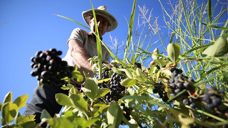 Kanserden kaybettiği eşi için bulamadı Şimdi üretip ücretsiz dağıtıyor