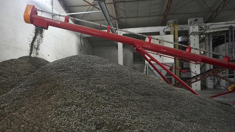 Devlet desteğiyle kurdu, ihracat şampiyonu oldu