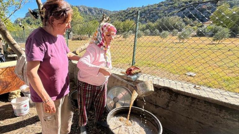 Topraksız, 500 TL’ye küllü şifa 24 saatlik zahmetin meyvesi