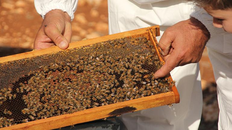 Toroslardan dünyaya 2300 rakımın başarısı: 2 altın, 1 gümüş