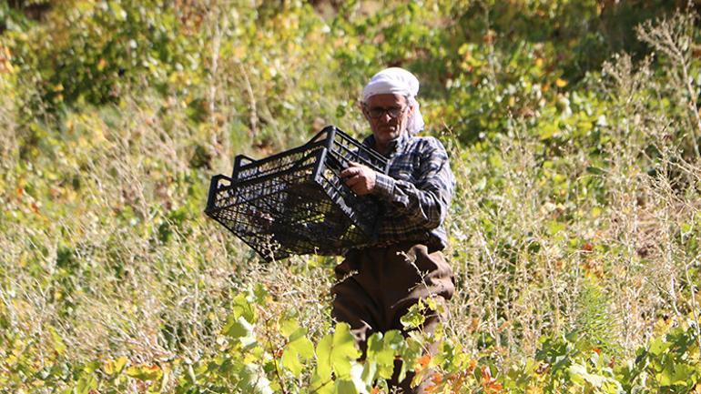 Kızakla gelen 11 diploma 80’lik dedenin azmi