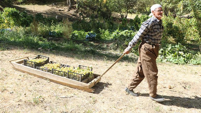 Kızakla gelen 11 diploma 80’lik dedenin azmi