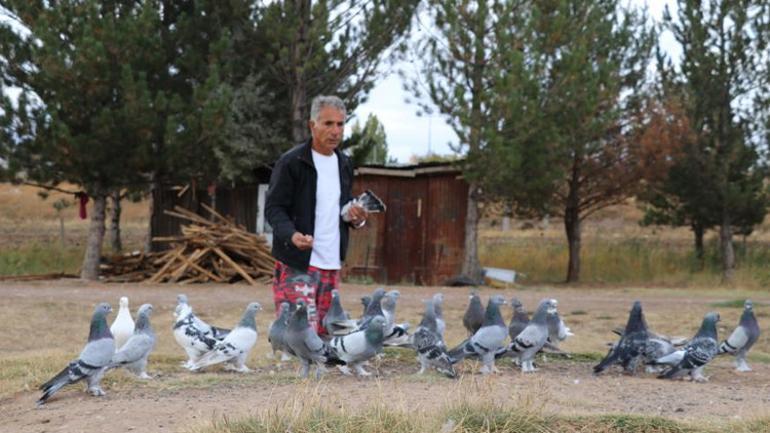 Dünya Sivas Efsanesi’nin peşinde Değeri yarım milyonu aştı