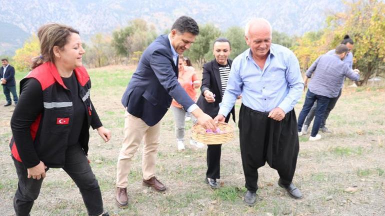 Kırmızı Altın kuraklığa yenildi, fiyatı dudak uçuklattı Dünyanın en pahalısı