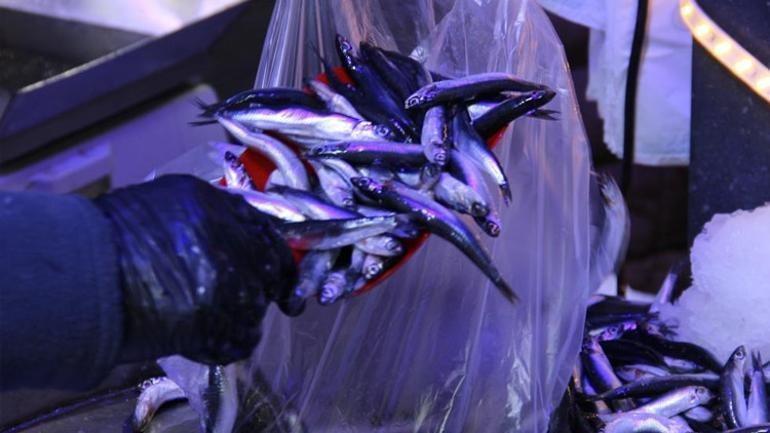 Fiyatı düştü, vatandaş sıraya girdi Şimdi yenilmesi gereken bir dönem