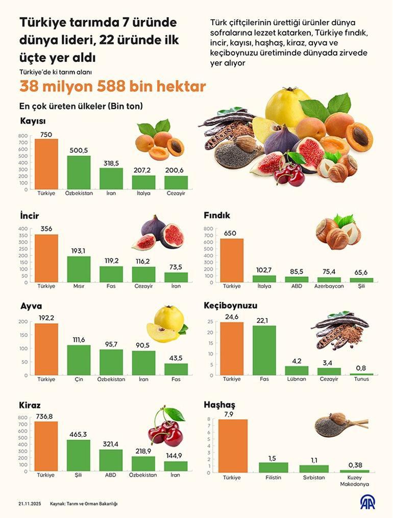 Türkiye 7 üründe dünya lideri, 22 üründe ilk üçte